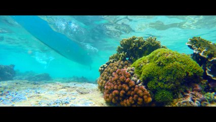 Christmas Island - Live the Adventure - Christmas Island, Australia