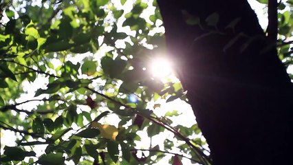 森高千里097 『私のように』 【セルフカヴァー】