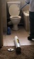 Surprise dans les toilettes d'un hotel en Afrique du Sud
