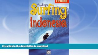READ  Fielding s Surfing Indonesia : Fielding s In-Depth Guide to Boarding on the World s Largest