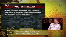 Kuran-ı Kerim'de Dişi Bal Arısı Mucizesi - Nahl Suresi 68 ve 69