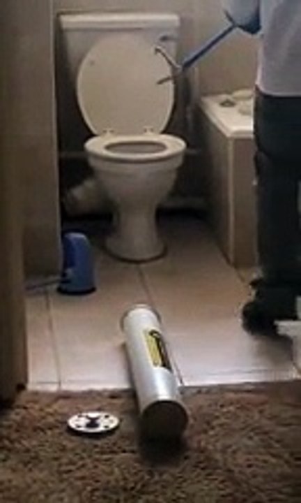 Un homme fait une sale découverte dans ses toilettes (Afrique du Sud)