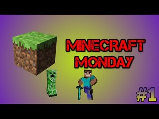 Minecraft|Survival #1 w/ arran
