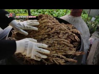 직접 시래기까지 수확하는 착한 식당 후보!