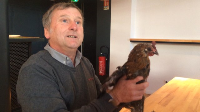 L'école du Puits-Picard au théâtre des Cordes avec Ray