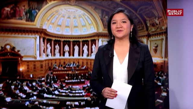 Google, Apple, Amazon : la commissaire européenne à la Concurrence auditionnée au Sénat