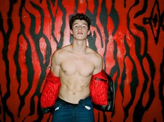 Shawn Mendes : Abdos dessinés et moue de mannequin, découvrez son premier shooting sexy !