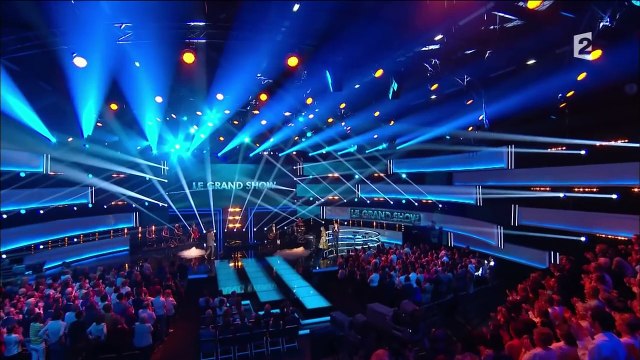 Céline Dion pleure chez Michel Drucker