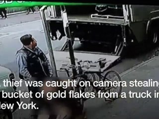 নিউইয়র্কে ৩৬ কেজি স্বর্ণ চুরির ভিডিও প্রকাশ