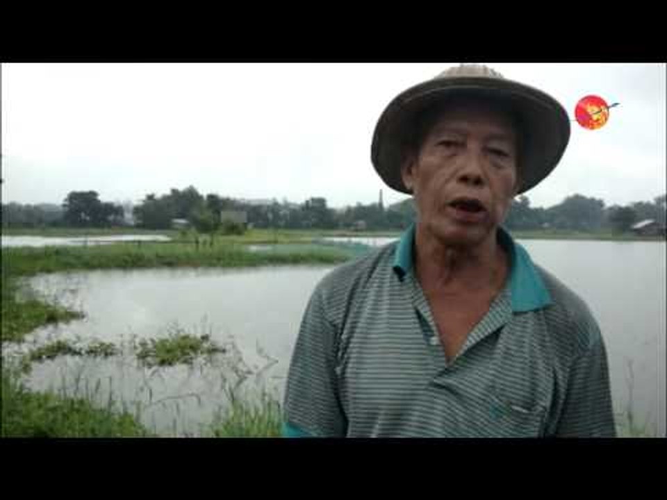 Seized Lands given to company