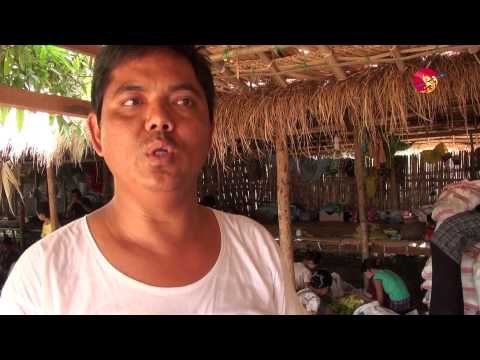 Burmese Pickled Mango