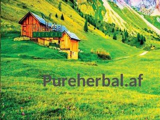 EXCLUSIVE FORMULA FOR PROSTATE CREATING BY PUREHERBAL.AF