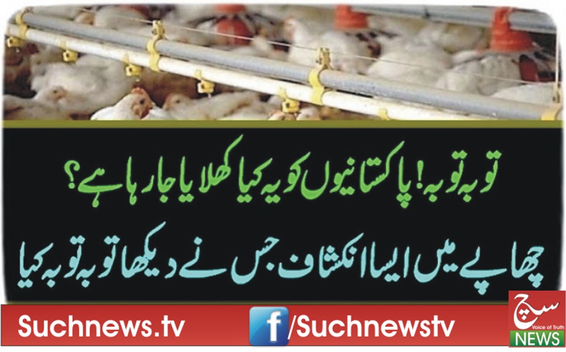 توبہ توبہ!پاکستانیوں کو یہ کیا کھلایا جارہا ہے؟چھاپے میں ایسا انکشاف جس نے دیکھا توبہ توبہ کیاne