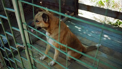 Научи меня жить 10 серия