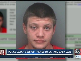 Police catch creeper thanks to cat and baby gate