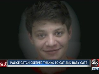 Burglar breaks into St. Pete mom’s home to pet the family cat