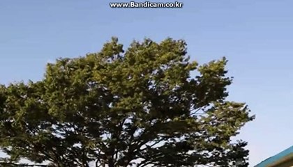 #토토솔루션제작,#사설토토사이트제작,#토토사이트임대,#토토솔루션,#토토사이트임대제작