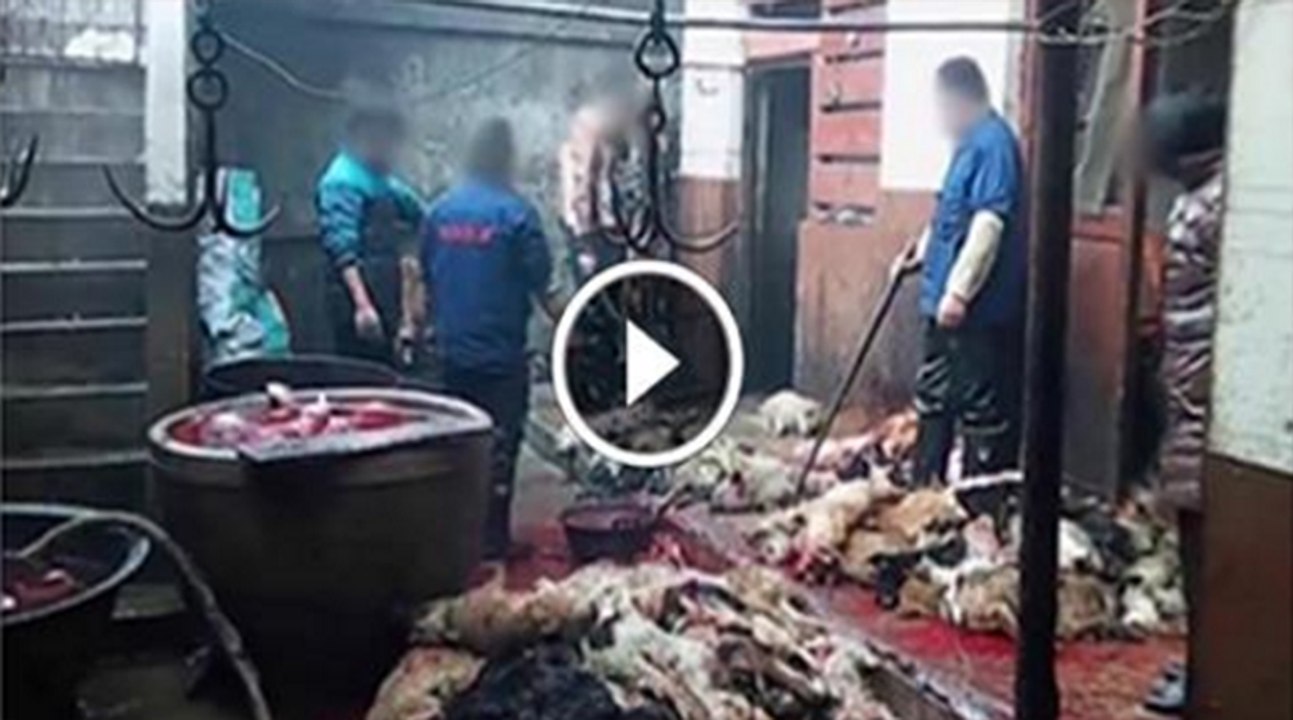 Men Caught Selling Dog Meat In Karachi shameful act of local man