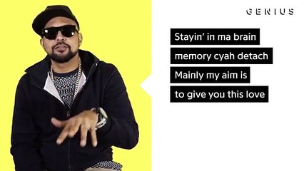Sean Paul “No Lie“ Official Lyrics & Meaning ¦ Verified