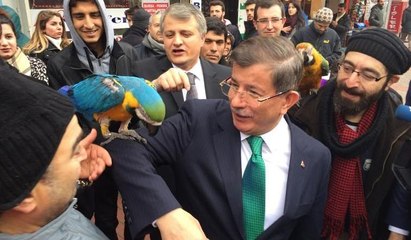 Ahmet Davutoğlu'nun papağanla sınavı