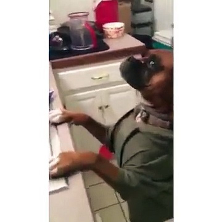 Vida animal