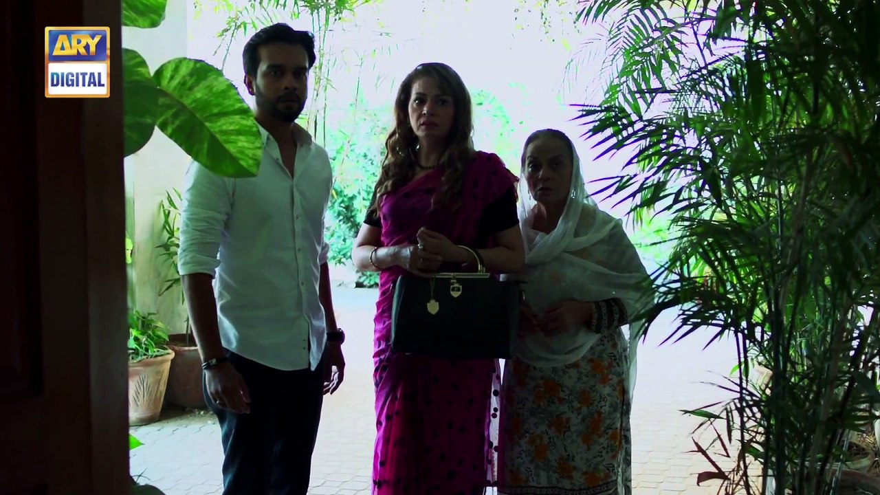 Watch Mein Mehru Hoon Episode 94 - on Ary Digital in High Quality 2nd December 2016