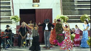 Dressage équestre et Flamenco à Soustons