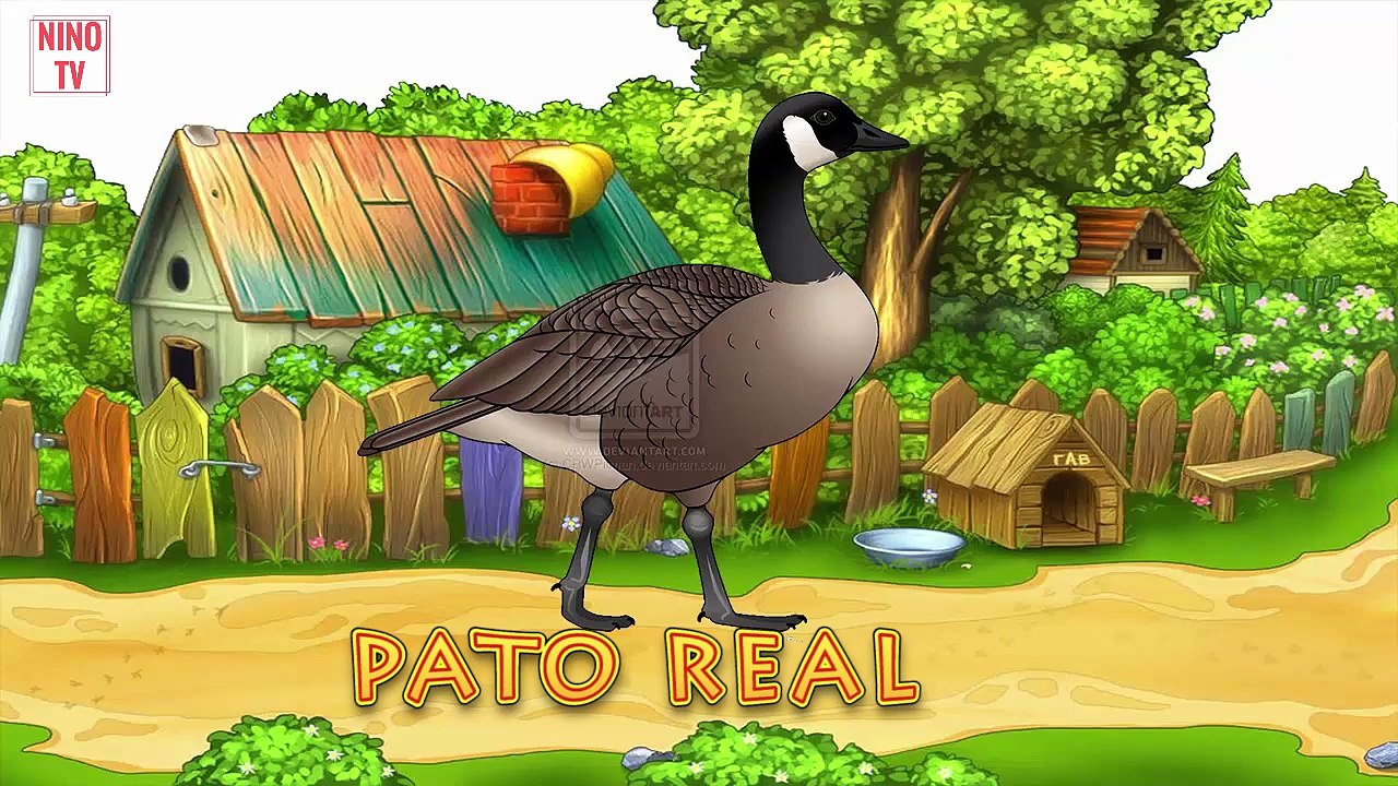 sonidos de animales para bebes estimulacion temprana | 4D p3 |aprende ingles para niños HD