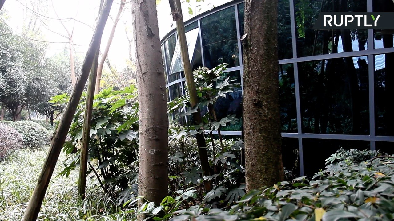 Chinese Public Toilets Lets User See Outside with One-Way Mirror