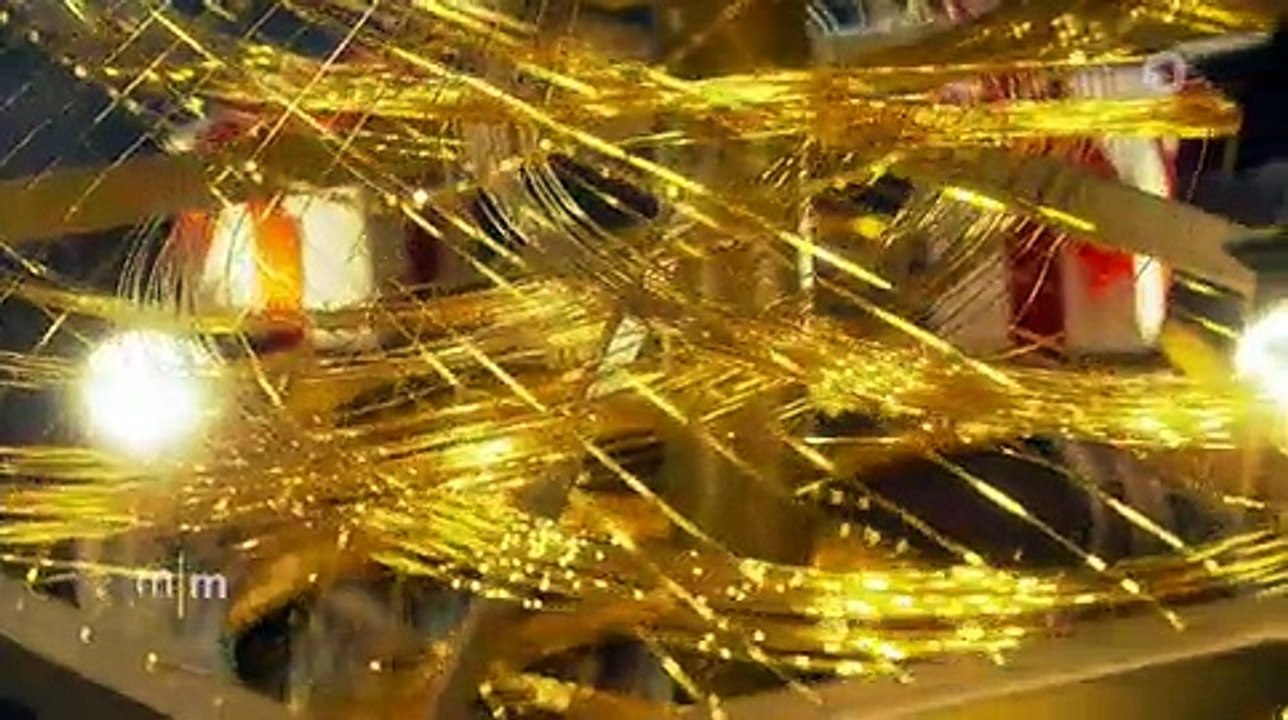 Glanz für Zwei Millionen Euro:Goldener Weilnachtsbaum in Tokio | ARD-Mittagsmagazin | Das Erste