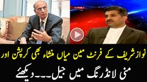 Mian Mansha is Also Involved in Mony Laundering
