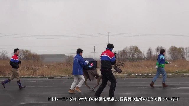 Domino's Pizza : échec de la livraison à dos de rennes