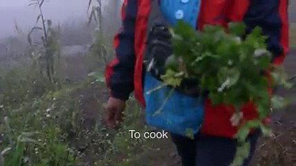 Meet the fog catcher bringing water to the poor