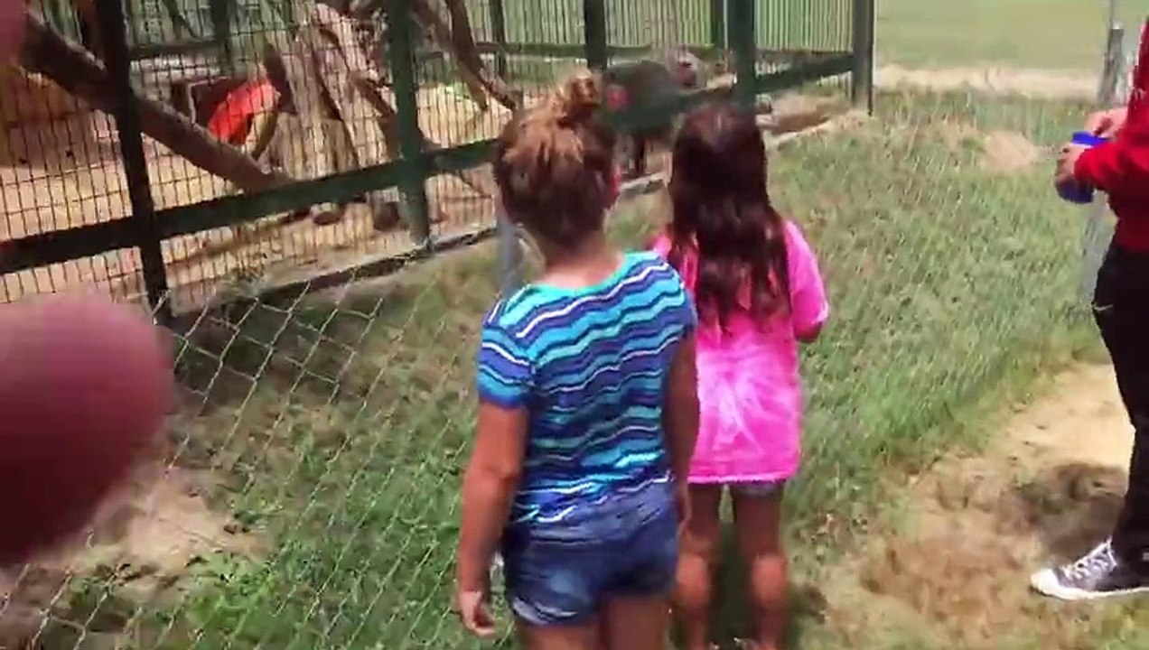 Très bonne réplique