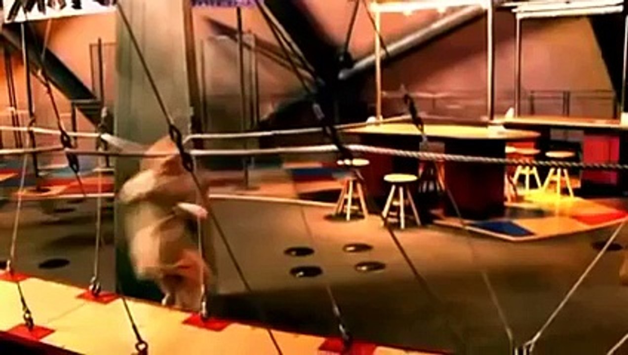 The Boy Who Lived Before