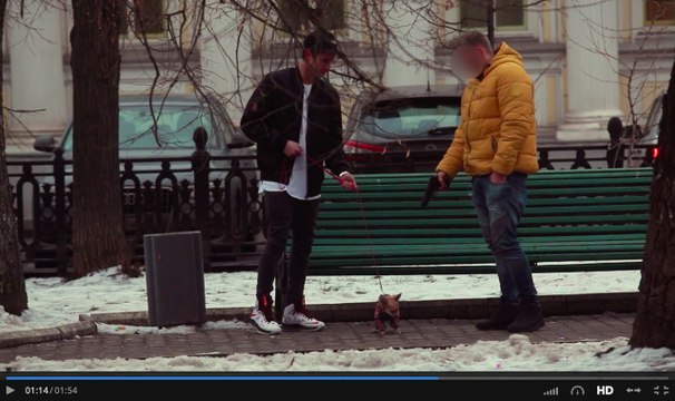 Готов ли человек убить собаку за деньги