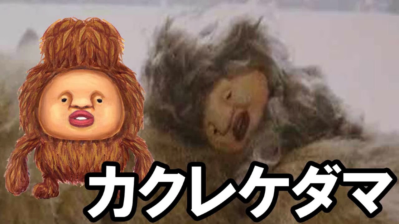 【こびとずかん】カクレケダマ