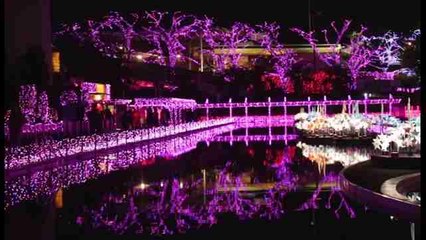 Cinco millones de bombillas iluminan un parque de atracciones en Tokio por Navidad