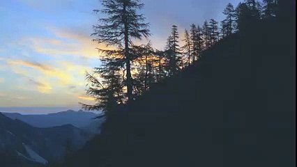 Very Peaceful Quran Recitation