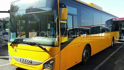 Ngjyra e autobusëve të rinj nuk është siç ishte menduar fillimisht [video]
