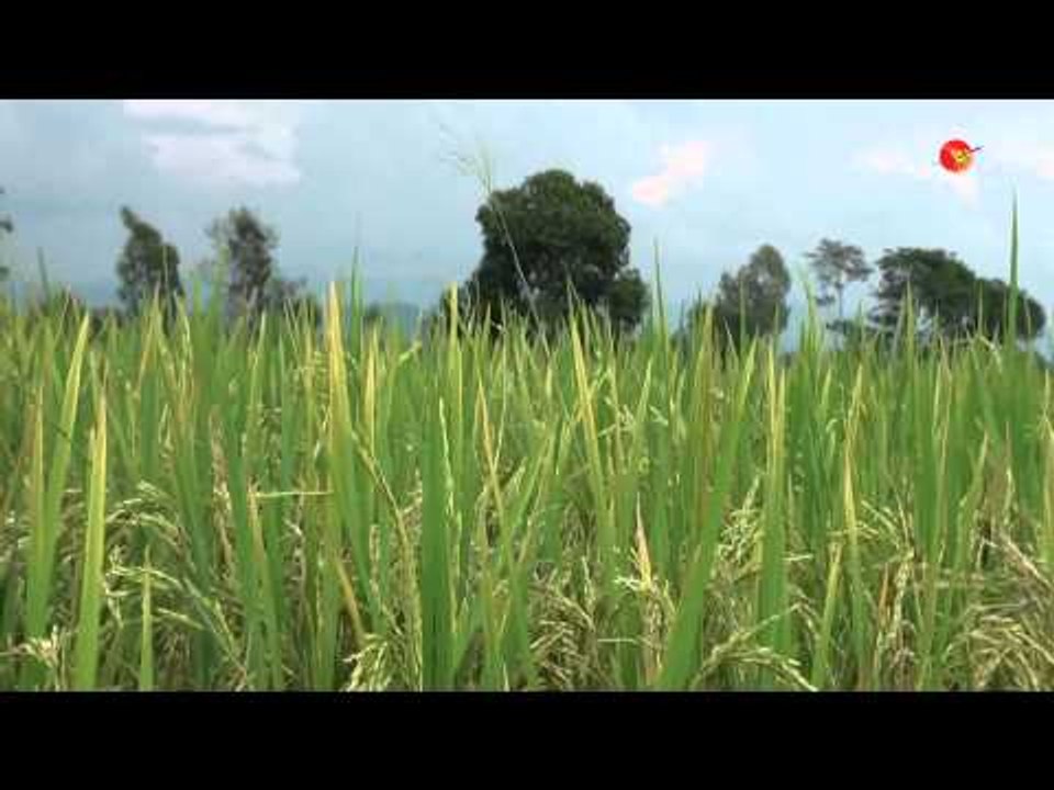 Farmers Protest in Rangoon