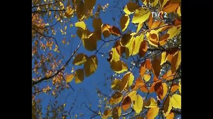 Jenica Bercea Anton - Cine-i om pe asta lume (Popasuri folclorice - TVR 2 - 05.12.2015)