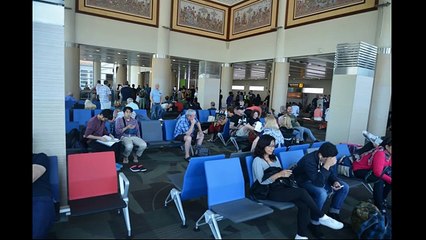 ARCHIE MAKES THE WORLD PRESS - news.com.au - THAI AIRWAYS TG-473