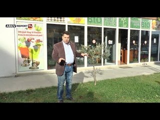 Report TV - Made in Albania - Prodhimet e natyrës në Tiranë te zona e burgut 313
