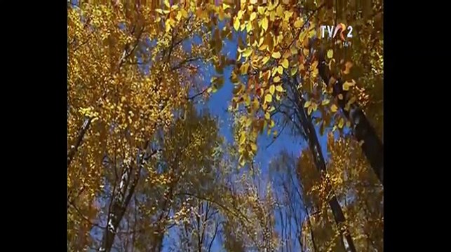 Jenica Bercea Anton - Al meu sat frumos ramane (Popasuri folclorice - TVR 2 - 05.12.2015)