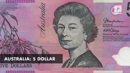 The nominees in the Oscars of paper currency