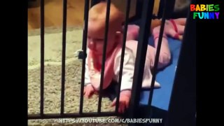 Cute babies Head Bump - Cutest Babies Video 2017