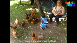 Cute Babies Playing With Chickens - Cutest Babies Videos 2017