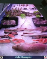 La tabana de Carlos Montesquieu para la seguridad de un super mercando