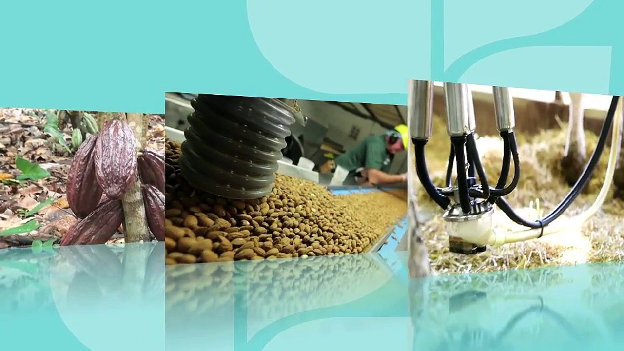 Doing Well By Doing Good: Our Journey to Nourish One Million Minds | The Hershey Company